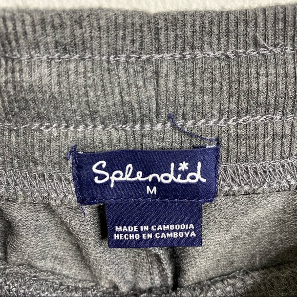 Splendid Gray and Leopard Print Matching 2pc. Jogger Set - Picture 12 of 14